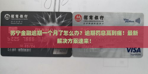 苏宁金融逾期了一个月如何处理