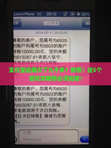 支付宝逾期欠了九千多如何解决