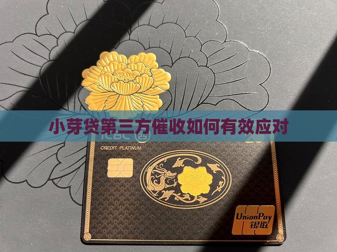 小芽贷第三方催收如何操作有效