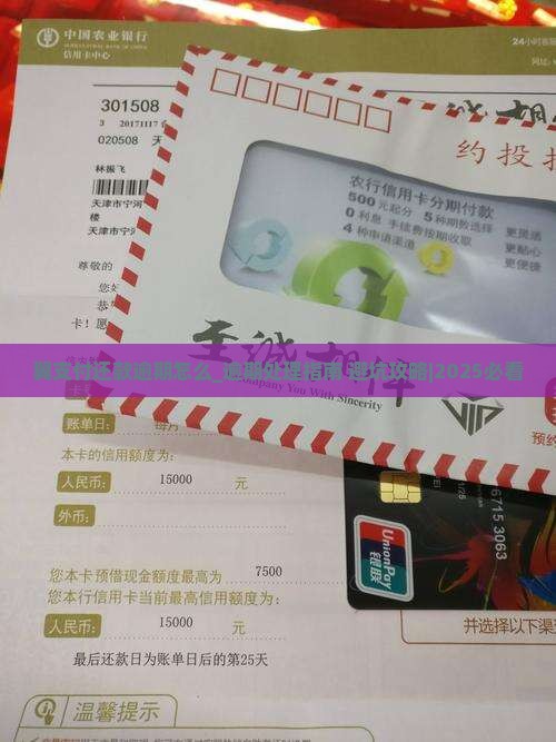 翼支付还款逾期怎么办理