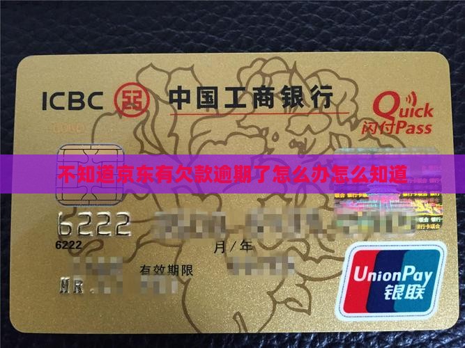 不知道京东白条有欠款逾期了怎么办