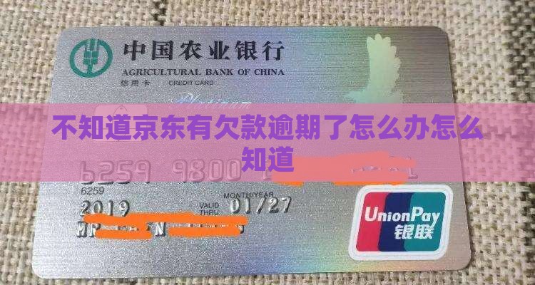 不知道京东白条有欠款逾期了怎么办