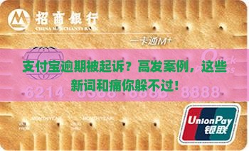支付宝逾期人被起诉的案例详解
