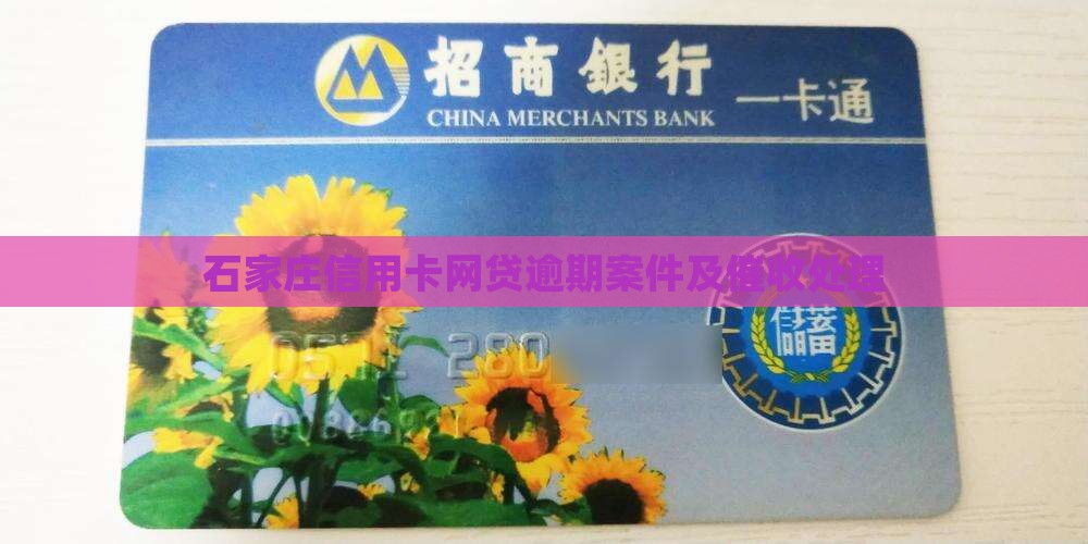 石家庄信用卡网贷逾期