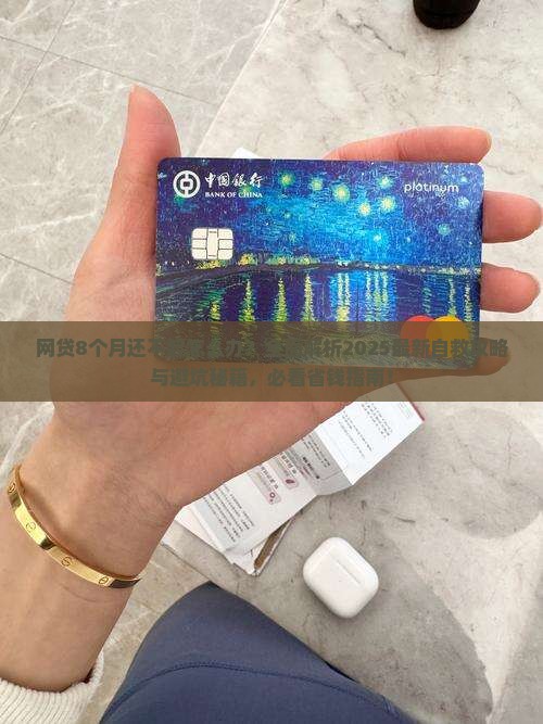 网贷贷8个月还不起怎么办