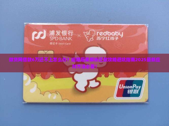 微贷网借款6万还不上怎么办