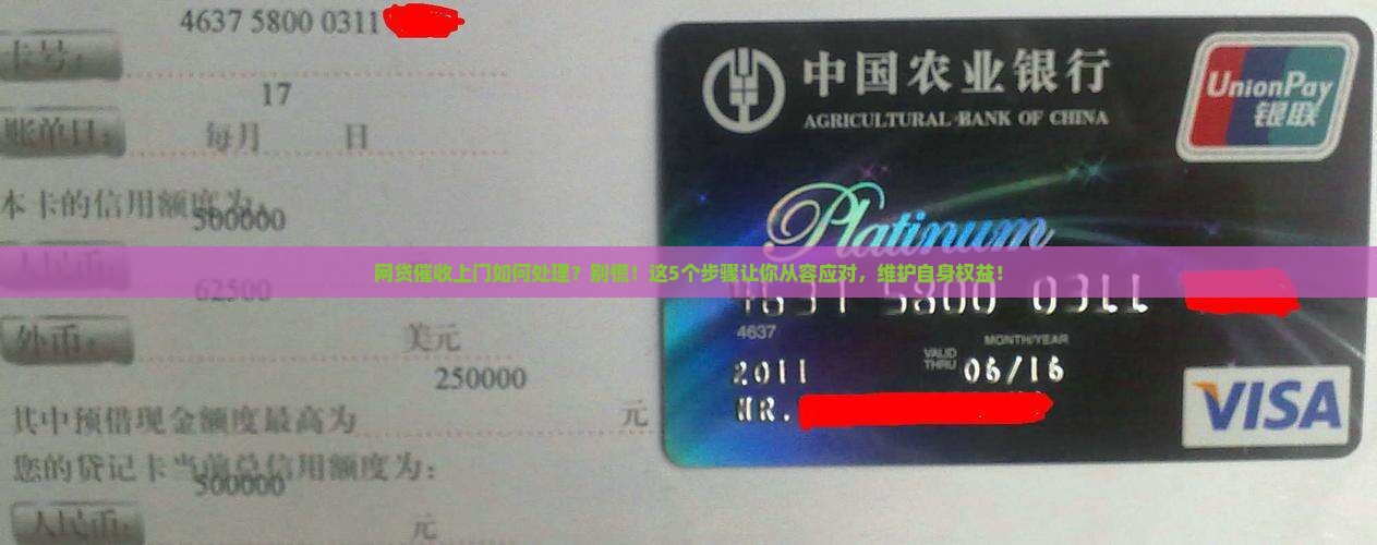 网贷催收上门事件如何处理