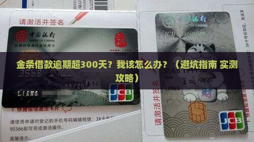 金条借款逾期超300天