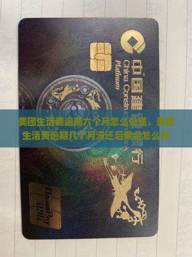 美团生活费逾期六个月怎么处理