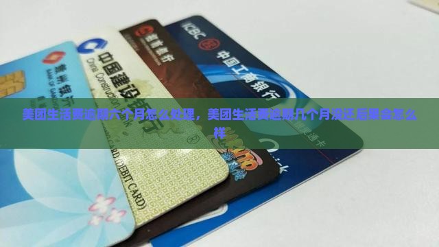 美团生活费逾期六个月怎么处理