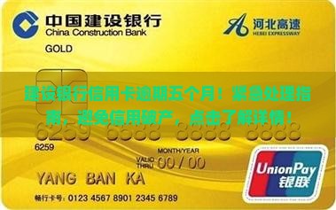建设银行信用卡逾期五个月