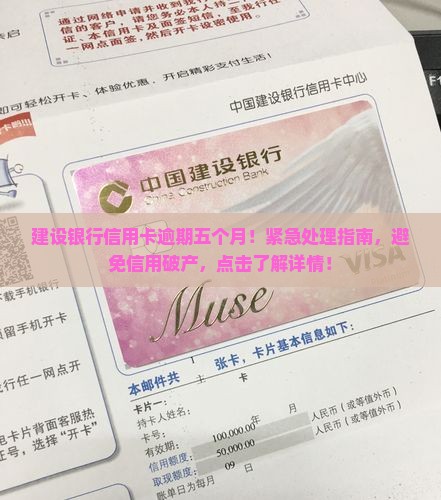 建设银行信用卡逾期五个月