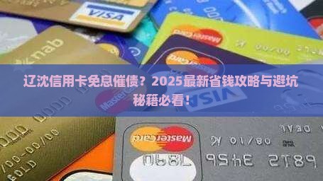 辽沈信用卡免息催债怎么处理