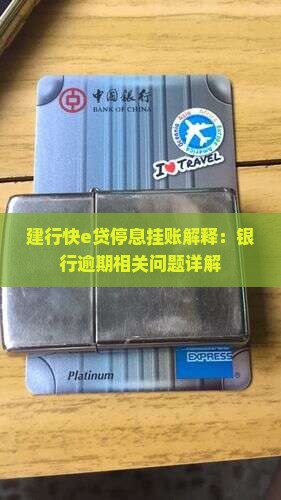 建行快e贷停息挂账解释