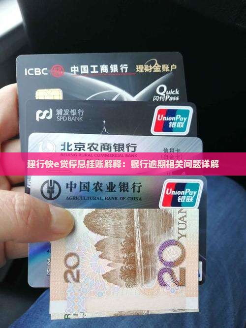 建行快e贷停息挂账解释