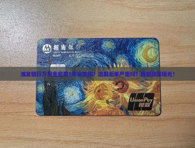 浦发银行万用金逾期1年后的处罚措施