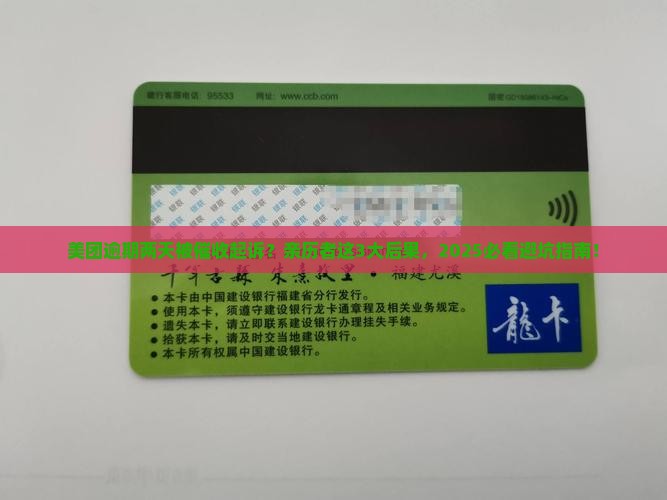 美团逾期两天催收起诉的后果是什么