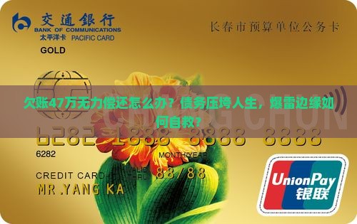 欠账47万无力偿还怎么办
