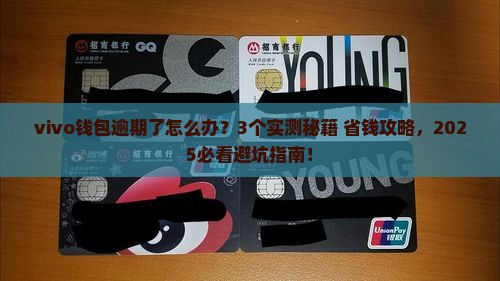 vivo钱包逾期了该怎么处理才好