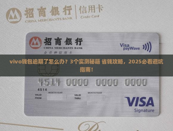 vivo钱包逾期了该怎么处理才好