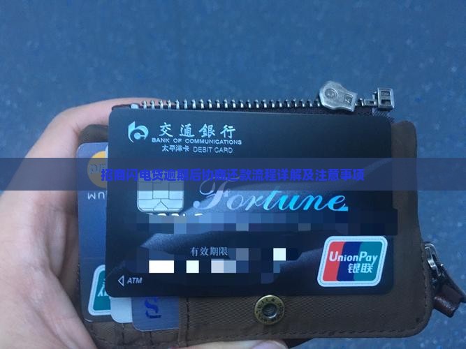 招商闪电贷协商还款流程解析及注意事项