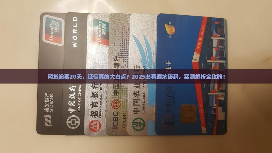 网贷逾期20天会不会影响征信