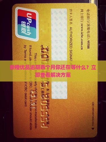 新橙优品逾期两个月