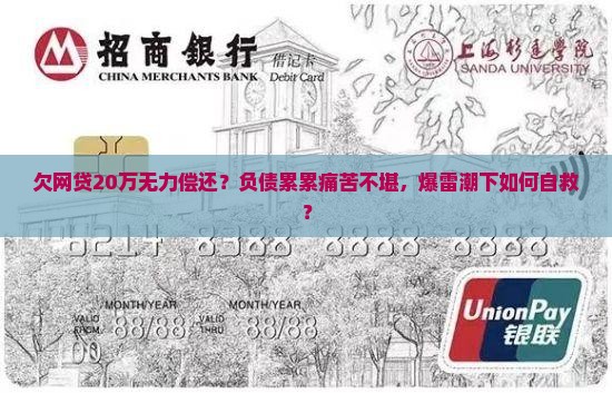 欠网贷20万无力偿还