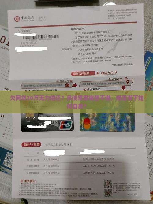 欠网贷20万无力偿还