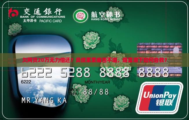 欠网贷20万无力偿还
