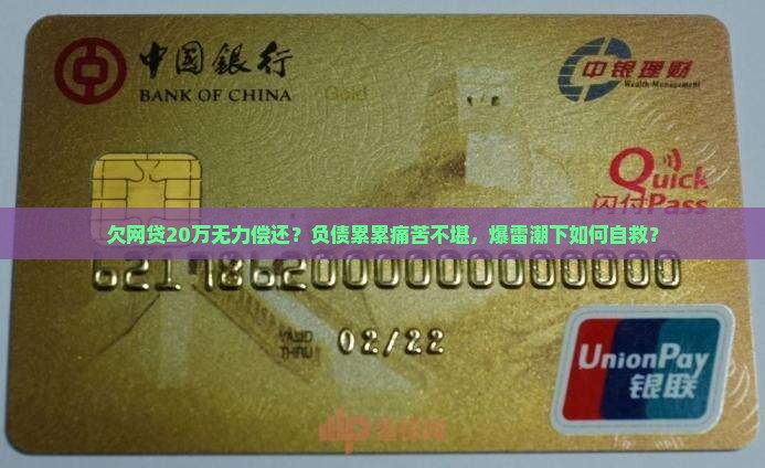 欠网贷20万无力偿还