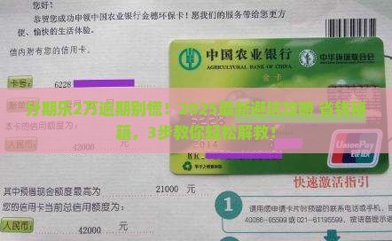 分期乐2万逾期怎么办