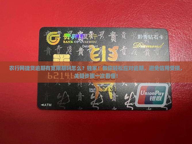 农行网捷贷逾期有宽限期吗怎么办理