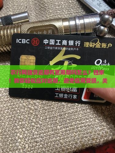 农行网捷贷逾期有宽限期吗怎么办理