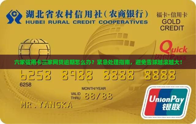 六家信用卡三家网贷逾期怎么办