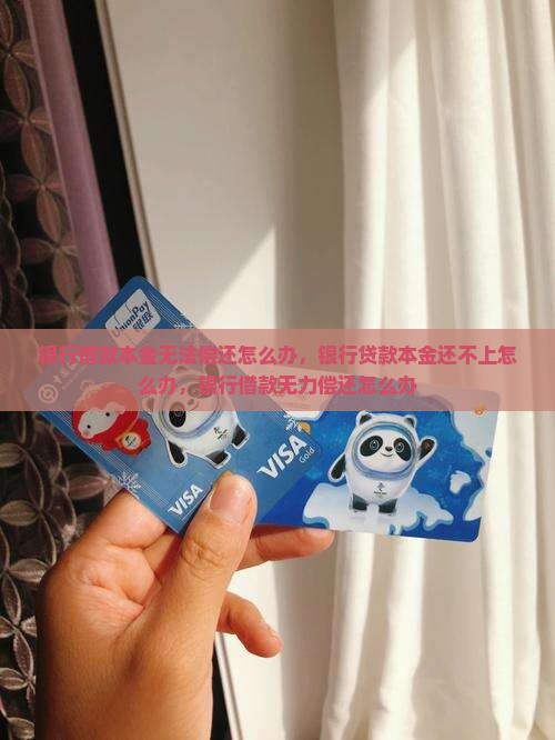 银行借款本金无法偿还怎么办