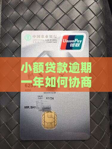小额贷款逾期一年如何协商解决办法