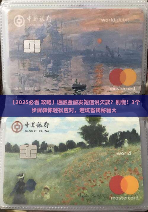 通融金融发短信说欠款该怎么办