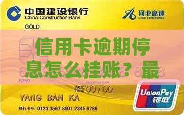 信用卡逾期停息怎么挂账