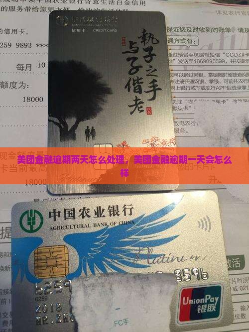 美团金融逾期两天怎么处理