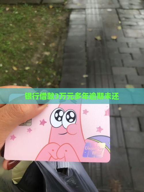 向银行借3万元十多年未还