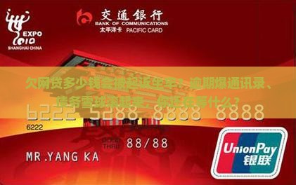欠网贷多少钱能被起诉坐牢