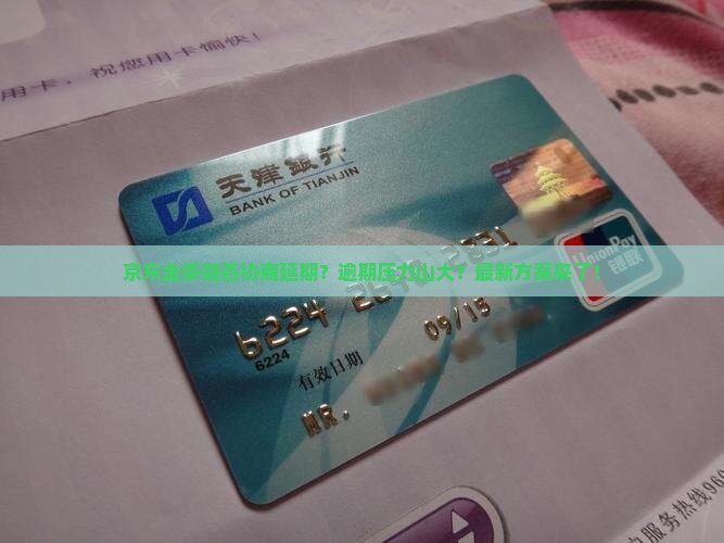 京东金条能否协商延期提供哪些方式
