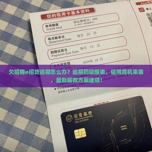 欠招商e招贷逾期应该怎么处理