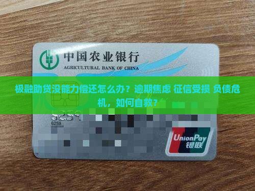 极融助贷没能力偿还怎么办