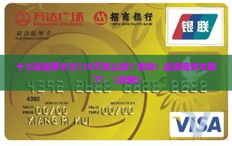 十七张信用卡欠款170万如何解决