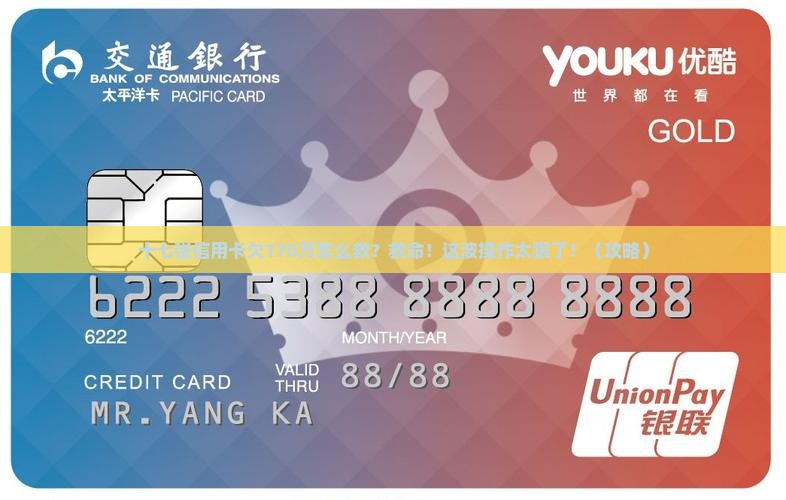十七张信用卡欠款170万如何解决