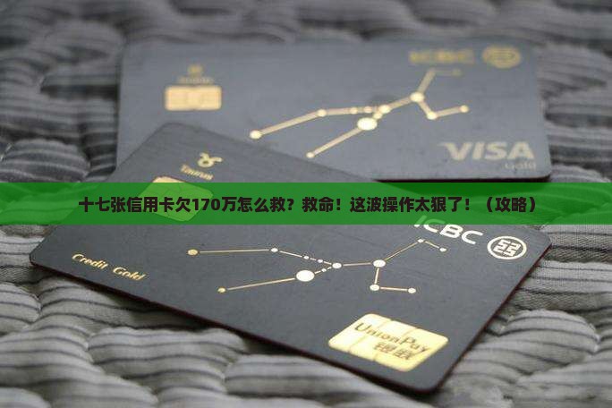 十七张信用卡欠款170万如何解决
