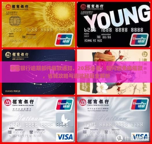 中信银行逾期邮件催款通知