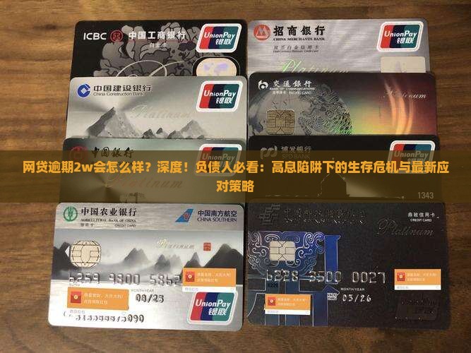 网贷逾期2w会怎么样处于怎样的风险状态